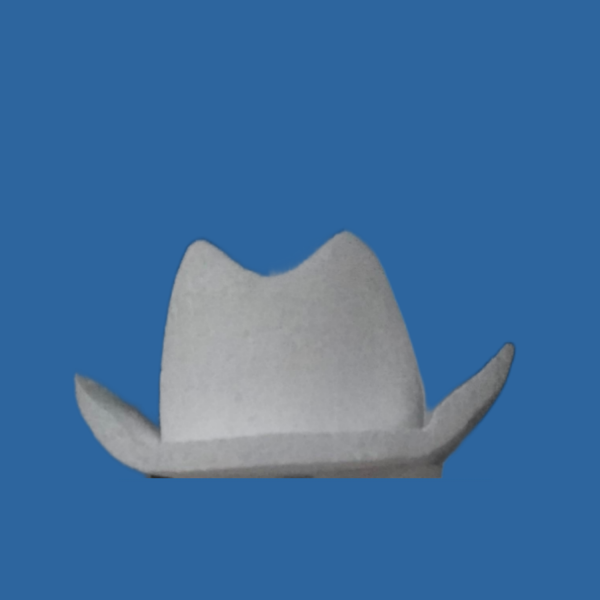 CHAPEU COWBOY