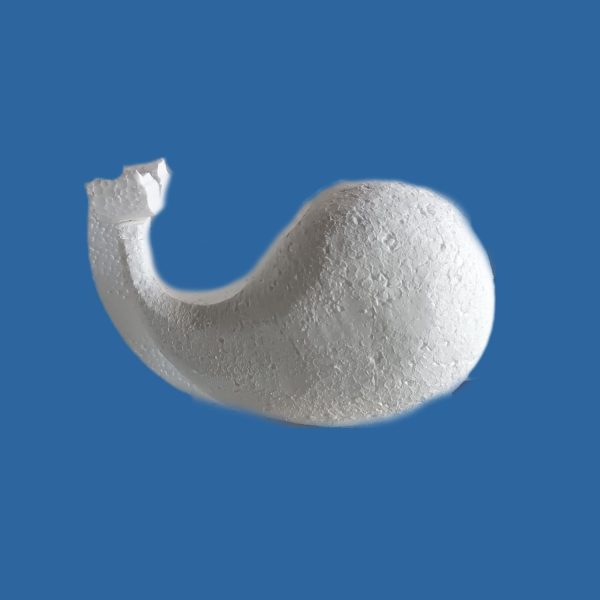 BALEIA