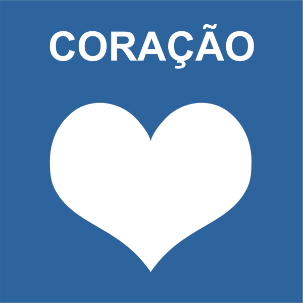 CORAÇÃO (espessuras de 3 e 5cm o PCT é COM 3 UN)